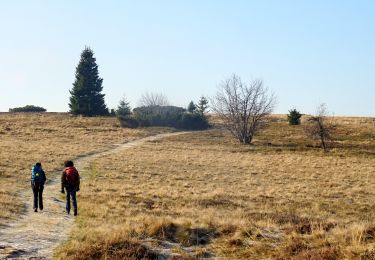 Tocht Stappen Le Hohwald - 2018-11-17 Balade Rocher Edelweiss  - Photo