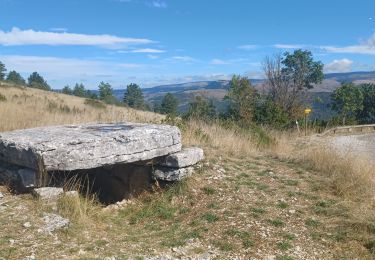 Excursión Bici de montaña Florac Trois Rivières - vtt Causse Mejean  - Photo