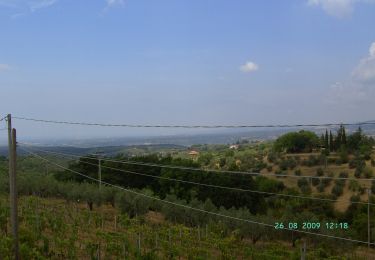 Trail On foot Montescudaio - IT-413 - Photo