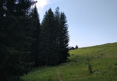 Trail Walking Arâches-la-Frasse - Les Tronchets - Photo