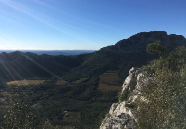 Tocht Stappen Valflaunès - L’Hortus par château de Vivioures - Photo