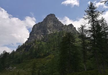Tour Zu Fuß Balme - IT-227 - Photo