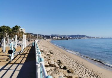 Excursión Senderismo Cannes - Marche Bocca 15/01/22 - Photo