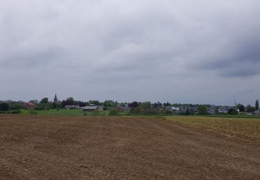 Trail Walking Liège - Rocourt - Voroux - Rocourt  - Photo