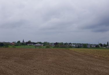 Tocht Stappen Luik - Rocourt - Voroux - Rocourt  - Photo