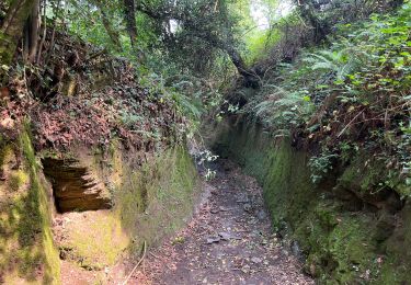 Randonnée Marche Samos - 2022 Camino de Santiago Samos Sarria - Photo