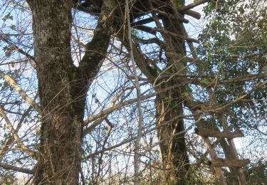 Trail Walking Granges-d'Ans - Paysage et nature depuis Granges-d’Ans - Photo