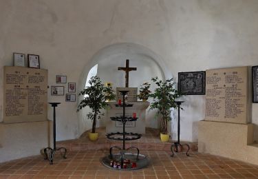 Tocht Te voet Gemeinde Zwettl-Niederösterreich - Waldbachweg 57A - Photo