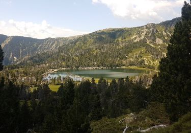 Tocht Stappen Nohèdes - lacs negre estellat et clot nohèdes  - Photo
