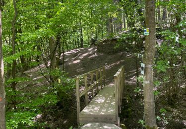 Excursión Senderismo Trooz - Trou du renard  fond des trois bois - Photo