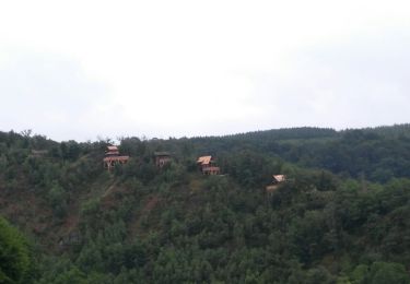 Trail Walking Houffalize - Adeps Nadrin 2021 - Photo