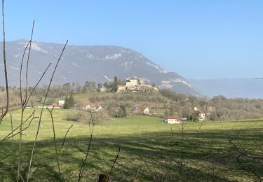 Tocht Stappen Cuzieu - Château - Photo