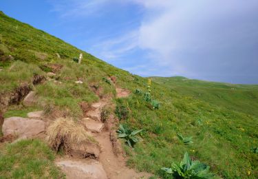 Randonnée Marche Albepierre-Bredons - Cantal - Col de Prat de Bouc Le Plomb du Cantal - 8.2km 450m 2h45 - 2019 07 06 - Photo