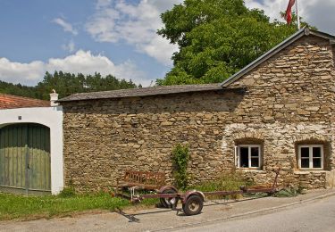 Tour Zu Fuß Gemeinde Pölla - Schauensteinweg 52 - Photo