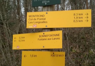 Tocht Stappen Crotenay - Besain Mirebel (IBP 61) 22 fév 2021 CAF - Photo