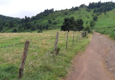Trail Walking Aydat - Puy de Vichatel depuis la Garandie - Photo