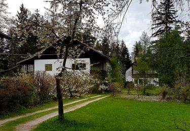 Tour Zu Fuß Unbekannt - Rundwanderweg Rosengarten - Photo