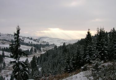 Tour Zu Fuß  - Rez-nyaka - Șaua Licheneu - Cabana Vitting - Photo