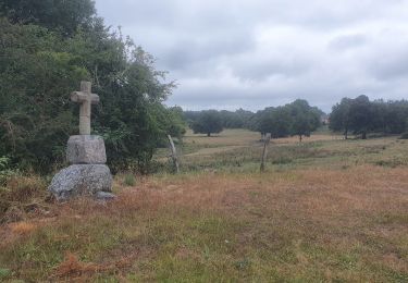 Excursión Bici de montaña La Nouaille - rando vttæ le Cluzeau 14 08 22 - Photo