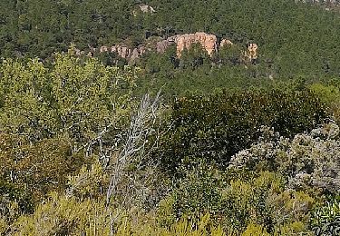 Tocht Stappen Puget-sur-Argens - z source st martin 09-04-19 - Photo