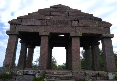 Tour Wandern Michelbrunn - Donon mai 2022 - Photo