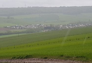 Trail Walking Montenoy - MONTENOY - LE COL DE VASSUCHAMP - Photo