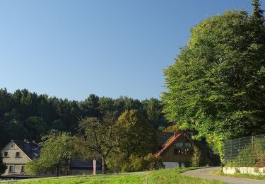 Trail On foot Eckersdorf - Mistelbach Rundwanderweg 