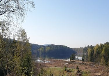 Percorso A piedi Sconosciuto - Tømtekleivene - Photo