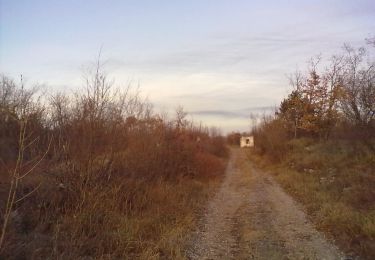 Trail On foot Duino Aurisina / Devin - Nabrežina - IT-32 - Photo