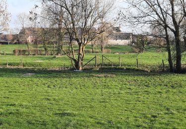 Excursión Senderismo Villers-la-Ville - Boucle 2 du Camp (Marbais) – Golf de La Bruyère – Château de Cognée - Photo