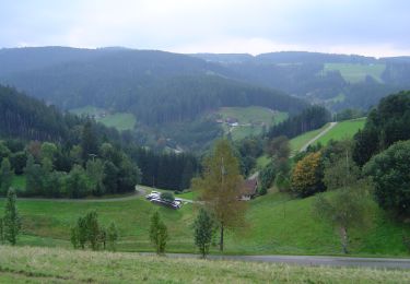 Percorso A piedi Vöhrenbach - Vöhrenbach - St. Georgen - Photo