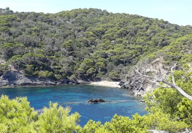 Tour Wandern Hyères - la Madrague - Photo