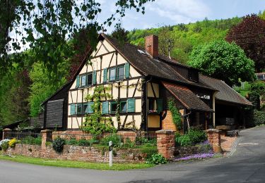 Tour Zu Fuß Weilbach - Rundwanderweg Weilbach Reuental 1: - Photo