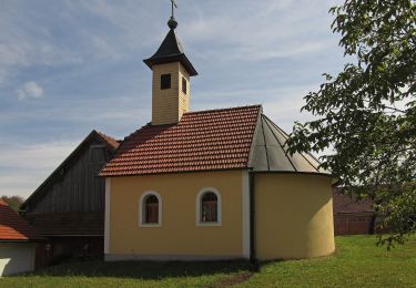 Excursión A pie Gemeinde Schweiggers - Zeiten Weg 43 - Photo