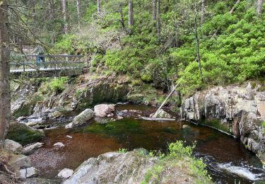 Trail Walking Malmedy - Berverce - Photo