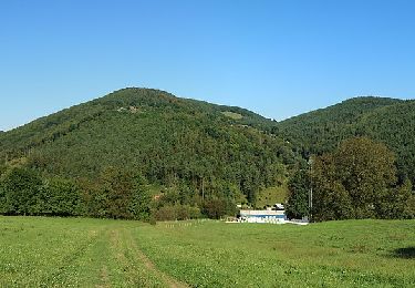 Tour Zu Fuß Stattegg - Wanderweg 26 - Photo