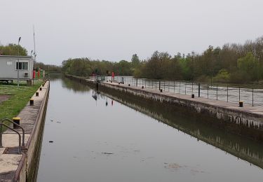 Tocht Stappen Vinneuf - Vinneuf 240407 - Photo