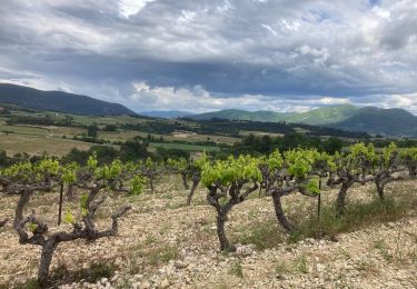 Trail Road bike Mirabel-aux-Baronnies - Mirabel/Vinsobres/Venterol/Nyons/Mirabel 28km - Photo