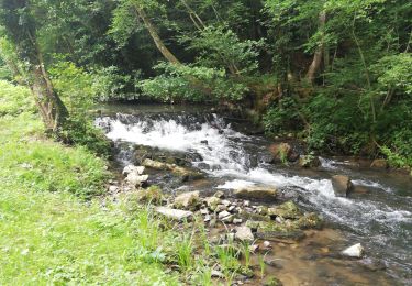 Tour Wandern Anhée - Haut le Wastia  - Photo