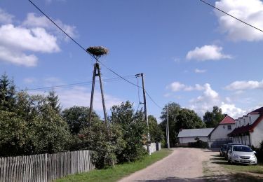 Tour Zu Fuß  - Szlak pieszy zielony - Photo