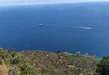 Tour Wandern Saint-Raphaël - Le tour du Cap Roux depuis Belle Barbe - Photo