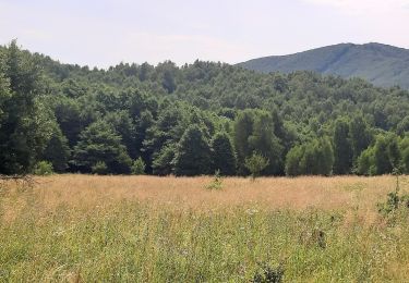 Tour Zu Fuß Bezirk Preschau - Zlatobanský náučný chodník - Photo