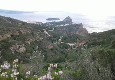 Tocht Stappen La Ciotat - La Ciotat les crêtes le 04/12/2019 - Photo