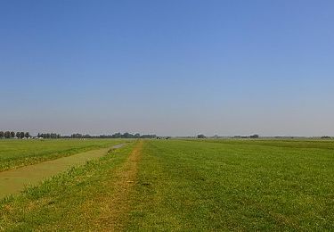 Tour Zu Fuß Alphen am Rhein - Molenviergangroute - Photo