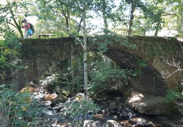 Randonnée Marche Trélans - Les Prades à Pratnau Rives - Photo