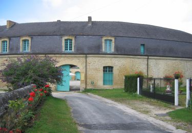 Percorso A piedi Buzancy - La Chapelle de Masmes - Photo