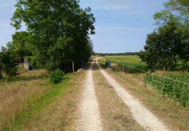 Percorso Marcia Huismes - Huismes - les Fontaines d'Ozon GR3 - 15.9km 170m 3h35 - 2022 07 17 - Photo