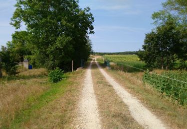 Tocht Stappen Huismes - Huismes - les Fontaines d'Ozon GR3 - 15.9km 170m 3h35 - 2022 07 17 - Photo