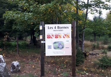 Randonnée A pied Saales - Saales, les 4 Bornes, le Spitzemberg - Photo