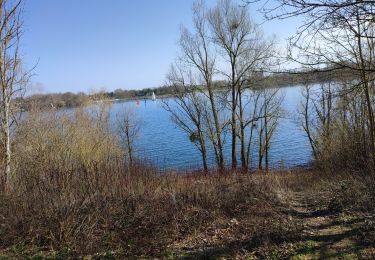 Trail Walking Jablines - annet - Photo